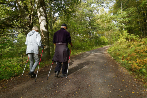 Promenad med pensionärer