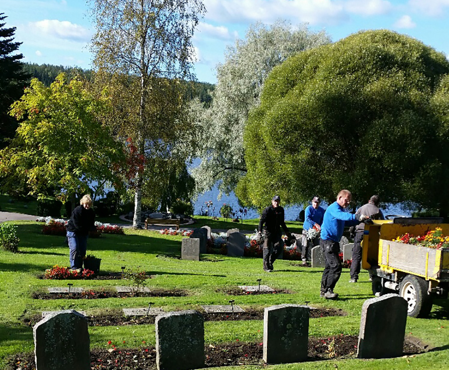 Sommarplantering på kyrkogården pågår
