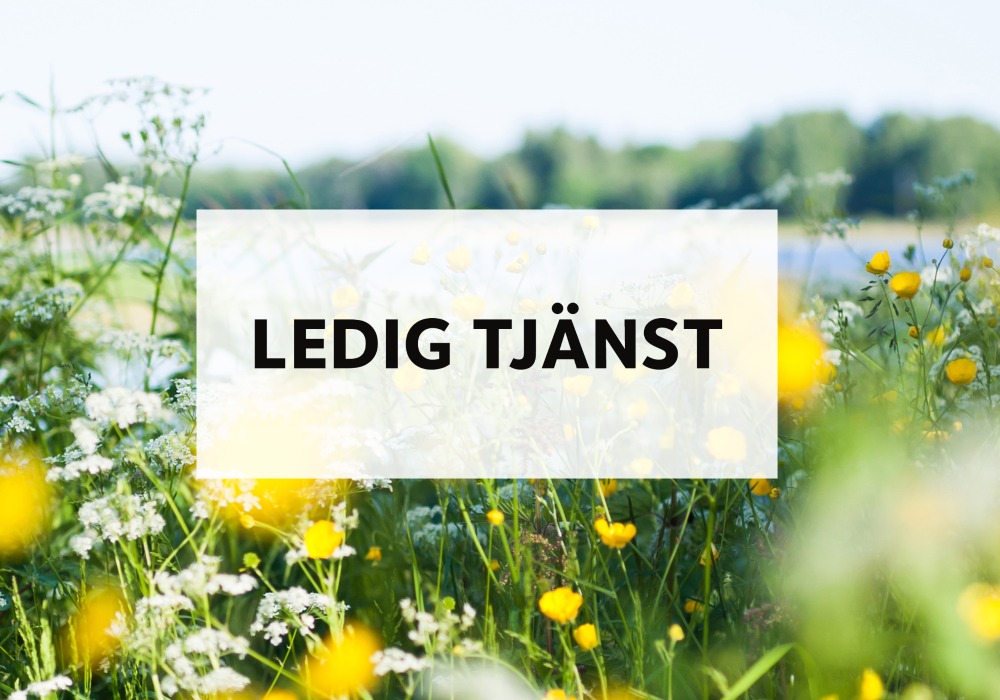Vi har en ledig tjänst